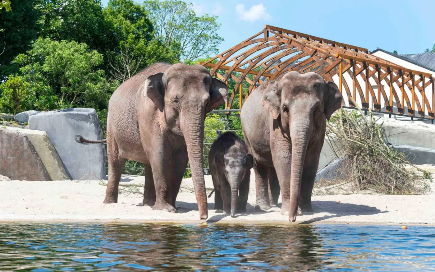 ARTIS is niet meer alleen een dierentuin